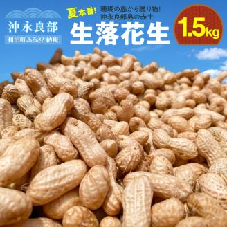 【先行予約】夏本番！珊瑚の島から贈り物！沖永良部島の赤土 生落花生1.5キロ！【7月中旬～9月上旬】
