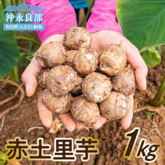 【先行予約2023年】産地直送！農業女子おススメの赤土里芋1キロ！【5月上旬～6月下旬】