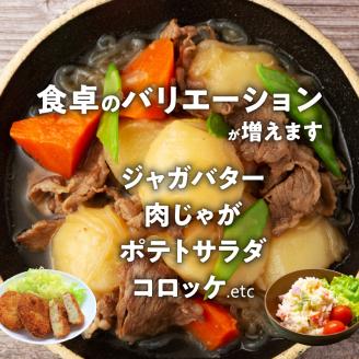 【2026年先行予約】皆村農園のホクホク！ほりたて！春の新じゃがいも 10kg【1月下旬～4月下旬】　W035-001