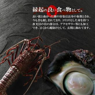 活き〆冷凍　天然伊勢海老２キロ（6～8尾）と夜光貝（１～2個）のセット！