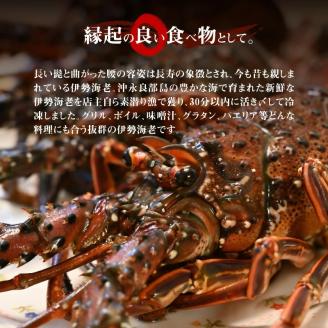 【漁師直送】活き〆冷凍　天然伊勢海老1kg（3～4尾）と夜光貝（1個）のセット