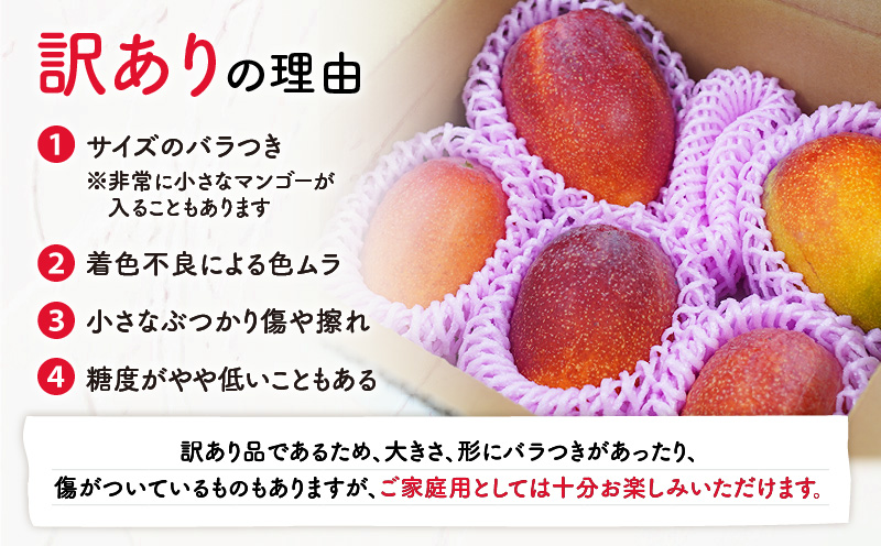 【2026年先行予約】訳あり 田中マンゴー園 完熟アップルマンゴー 4～8玉で2kg （ご家庭用）　W001-008u