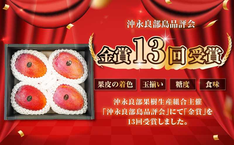 【2026年先行予約】沖永良部完熟アップルマンゴー4～6玉で2kg 　W001-010u