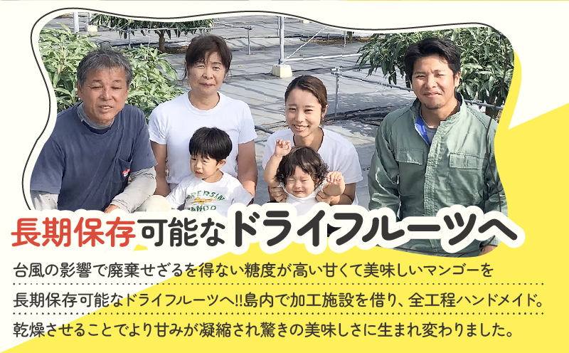 【先行受付】田中マンゴー園が作ったマンゴーのドライフルーツ 40g×3袋　W001-013-03