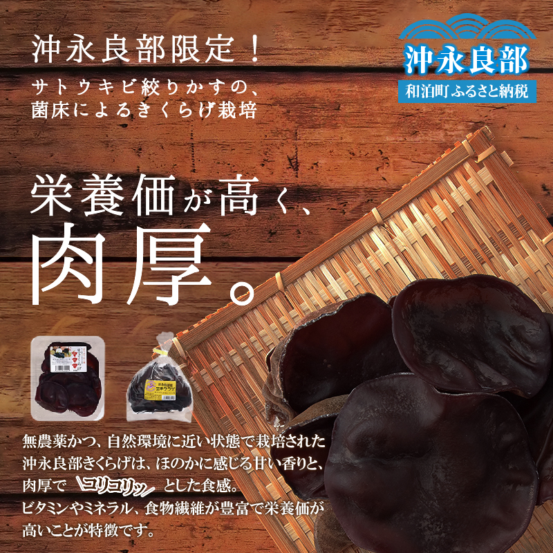 ■地の利を生かした沖永良部産 恵の生きくらげ　W012-001