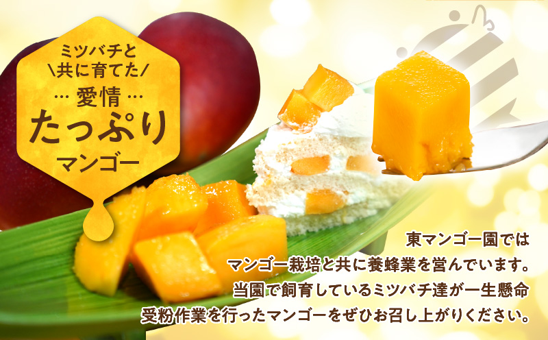 【2026年先行予約】≪ご家庭用≫東マンゴー園直送！完熟アップルマンゴー 2kg（４～６玉）　W014-010u