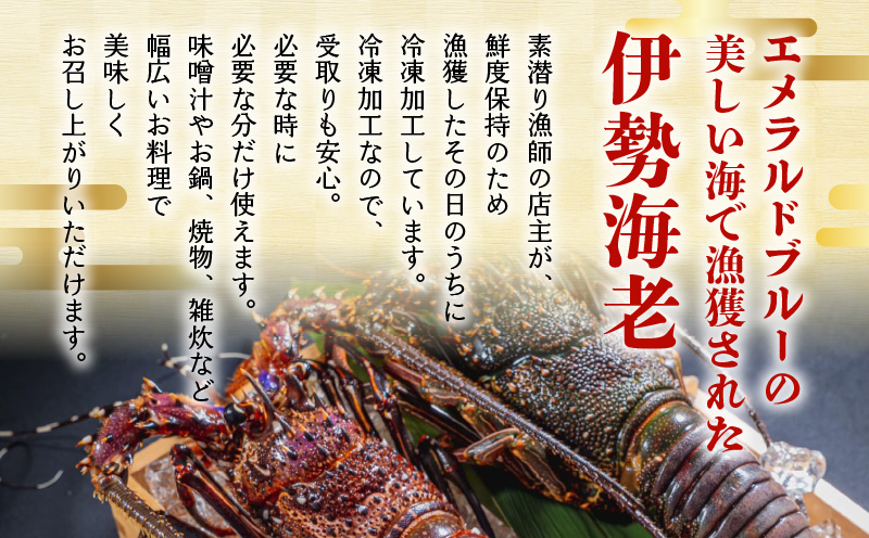 沖永良部島直送！素潜り漁師オススメの冷凍伊勢海老 約3kg（3～10匹）！　W030-004u