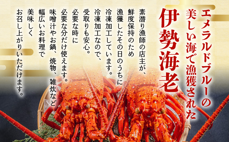 沖永良部島直送！素潜り漁師オススメのボイル済み冷凍伊勢海老 約2kg（3～7匹）！　W030-012u