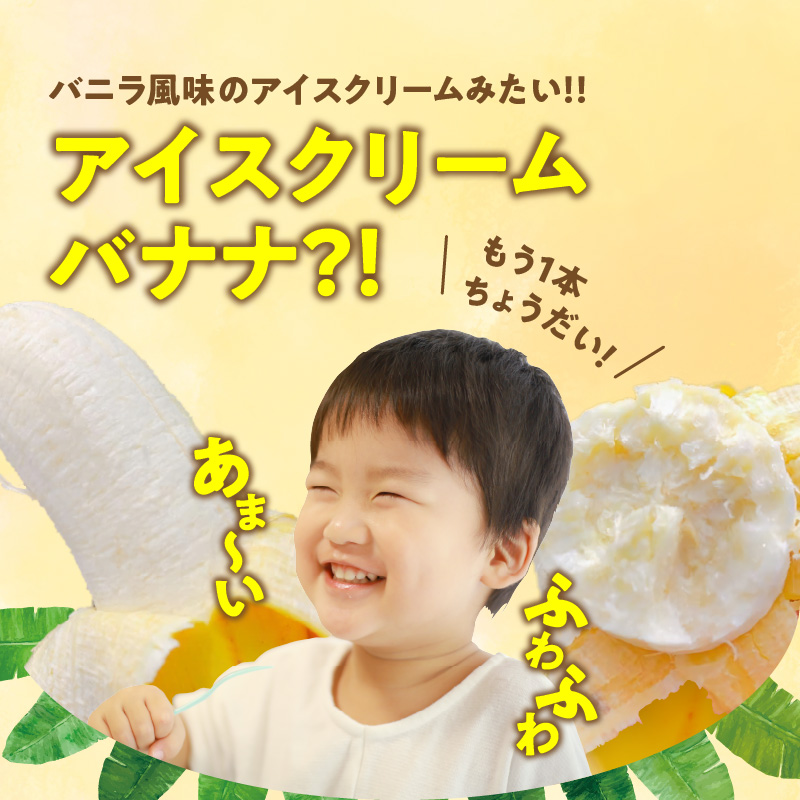 ■ 栽培期間中 農薬・除草剤・化学肥料不使用！バニラ風味の甘い島バナナ 1.5kg【2026年4月上旬～2026年11月下旬お届け】　W043-006u