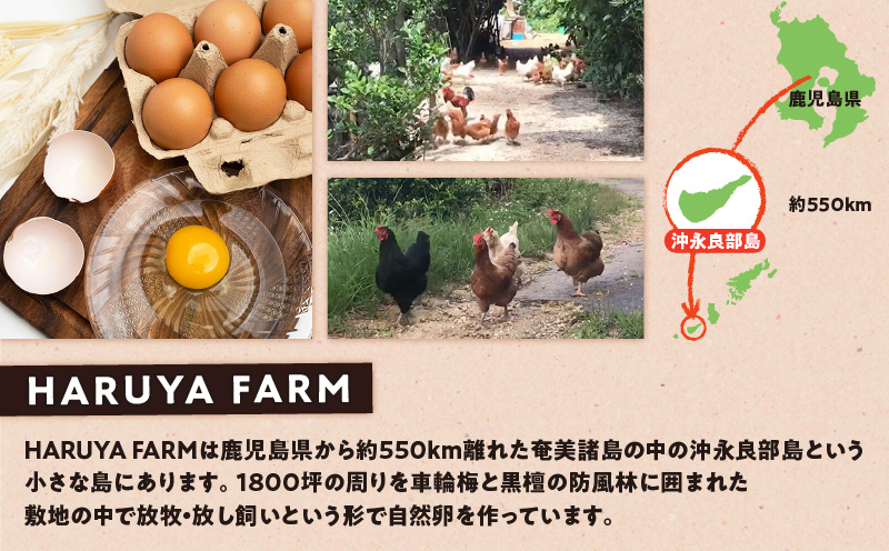【贈答用】HARUYA FARMのモリンガ卵「島のちっちゅ」　W065-001-01