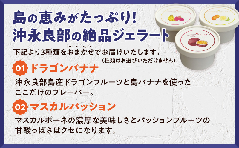 POWER GELATO 沖永良部島産（季節限定セット12個入り）　W066-002-02