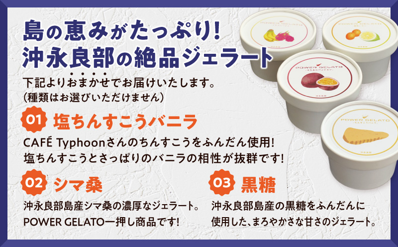 POWER GELATO 沖永良部島産（ミックスセット6個入り）　W066-003-01
