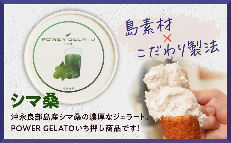 POWER GELATO 沖永良部島産（シマ桑）90ml×10個入り　W066-005-02
