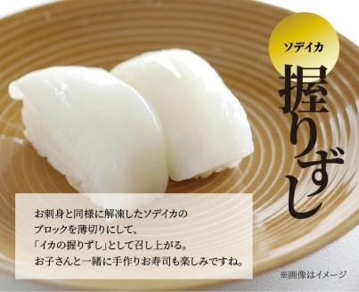 【サイズ不揃い】ソデイカ・刺身用ブロック 1kg/沖永良部島特産　W009-055u