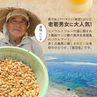 【先行予約】夏本番！珊瑚の島から贈り物！沖永良部島の赤土 生落花生３キロ！【7月中旬～9月上旬】