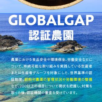 【2026年先行予約】皆村農園のホクホク！ほりたて！春の新じゃがいも 10kg【1月下旬～4月下旬】　W035-001