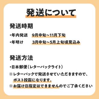 【先行受付】沖永良部島の甘くて美味しい無添加ドライフルーツ（パパイヤ）30g×3袋　W051-007u