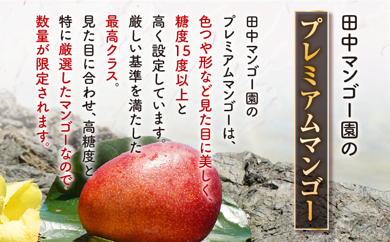 【2026年先行予約】田中マンゴー園のプレミアム完熟アップルマンゴー 4玉で2kg 　W001-012u
