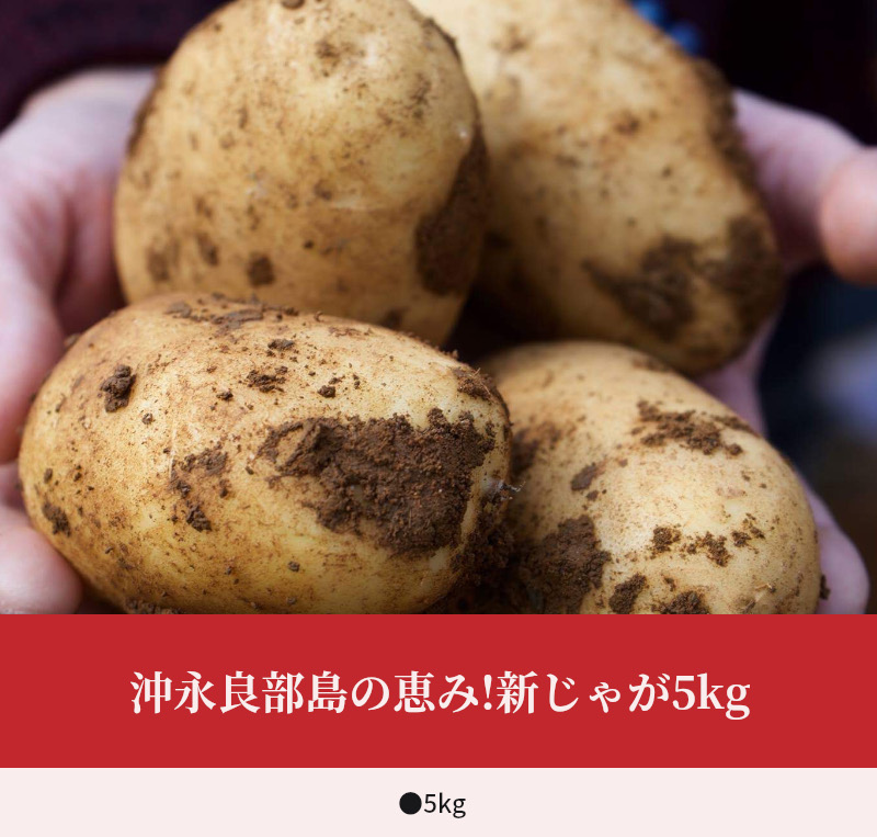 【2026年先行予約】沖永良部島の恵み！新じゃが 5kg【2月下旬～4月下旬】　W011-071u
