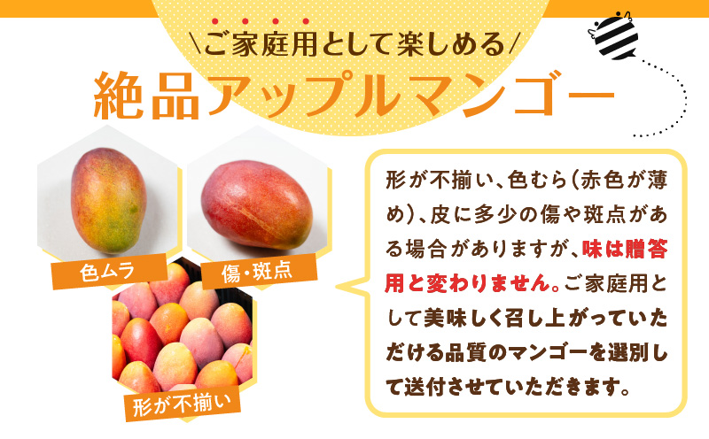 【2026年先行予約】≪ご家庭用≫東マンゴー園直送！完熟アップルマンゴー 2kg（４～６玉）　W014-010u