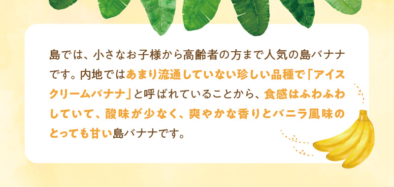 ■ 栽培期間中 農薬・除草剤・化学肥料不使用！バニラ風味の甘い島バナナ 3kg【2026年4月上旬～2026年11月下旬お届け】　W043-001u