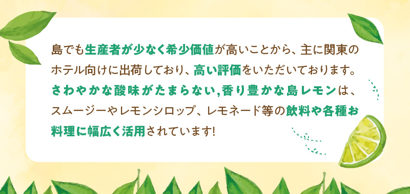 ■【先行受付】栽培期間中 農薬・除草剤・化学肥料不使用！南国の島レモン 2kg！【2025年9月～2026年2月下旬お届け】　W043-003u