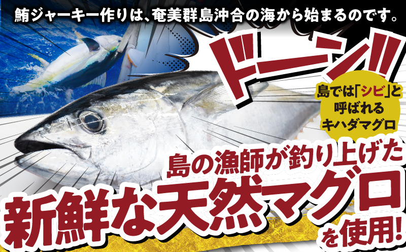 素潜り漁師マサル監修「マグロのジャーキー こくまろ味」30g×5袋　W062-012-03