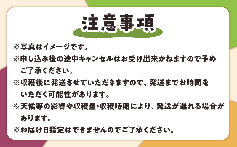 【2026年先行予約】【ご家庭用】山下農園のパッションフルーツ3kg【6月上旬～7月上旬発送】　W063-002