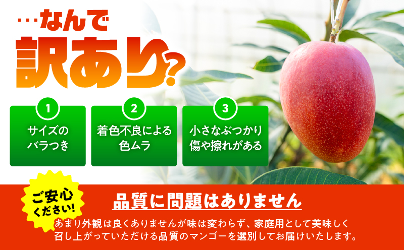【2026年先行予約】【訳あり】甘い香りの贈り物！山下農園の完熟アップルマンゴー 1kg（2～3玉）　W063-004-01
