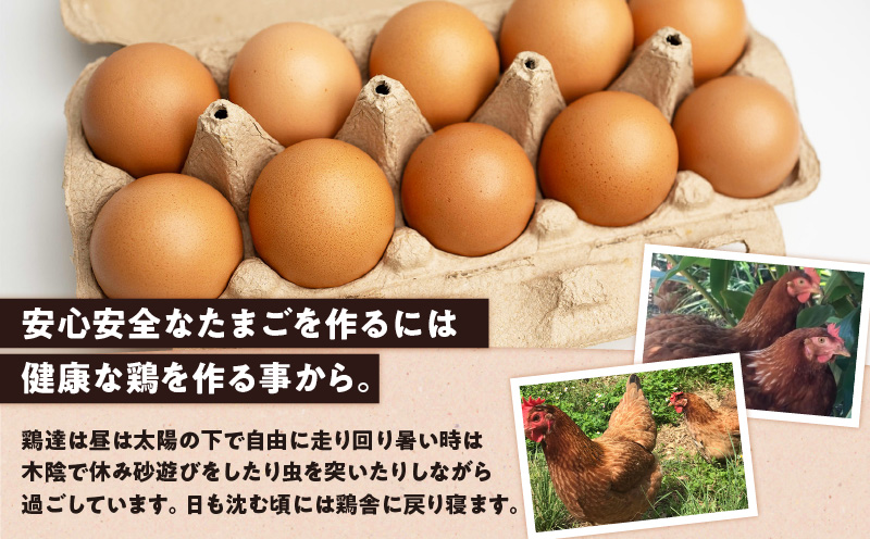 【ご家庭用】HARUYA FARMのモリンガ卵「島のちっちゅ」　W065-001-02