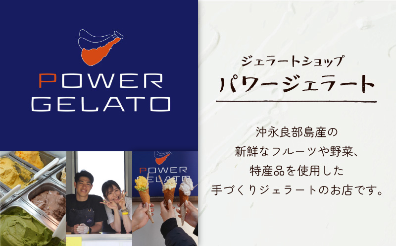 POWER GELATO 沖永良部島産（塩ちんすこうバニラ）90ml×10個入り　W066-004-02