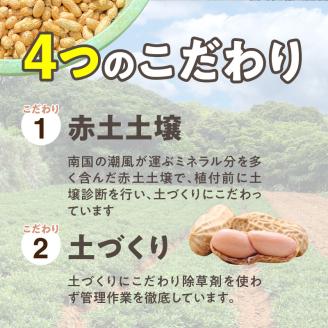 【先行予約】夏本番！珊瑚の島から贈り物！沖永良部島の赤土 生落花生３キロ！【7月中旬～9月上旬】