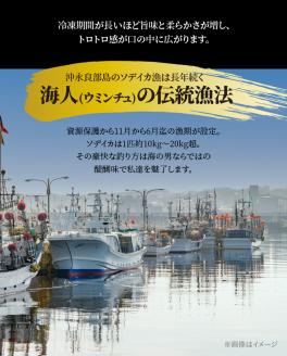 【サイズ不揃い】ソデイカ・刺身用ブロック　500g/沖永良部島特産