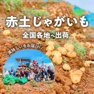 【2026年先行予約】皆村農園のホクホク！ほりたて！春の新じゃがいも 10kg【1月下旬～4月下旬】　W035-001