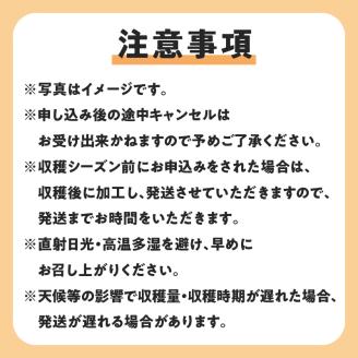 【先行受付】沖永良部島の甘くて美味しい無添加ドライフルーツ（パパイヤ）30g×3袋　W051-007u