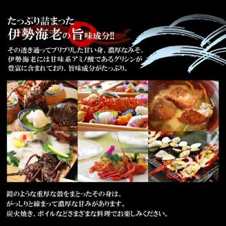【漁師直送】活き〆冷凍　天然伊勢海老300ｇ（１尾）