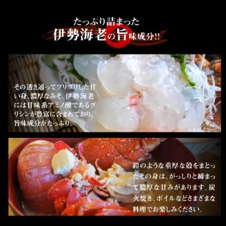 【漁師直送】活き〆冷凍　天然伊勢海老600g（1～2尾）