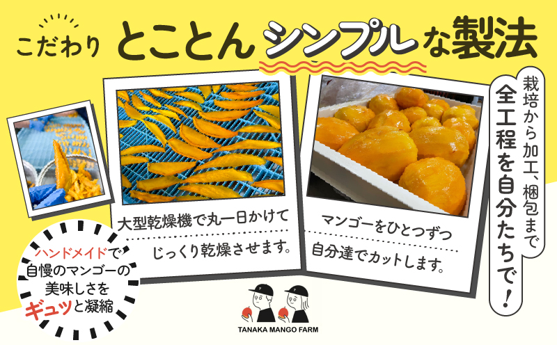 【先行受付】田中マンゴー園が作ったマンゴーのドライフルーツ 40g×3袋　W001-013-03