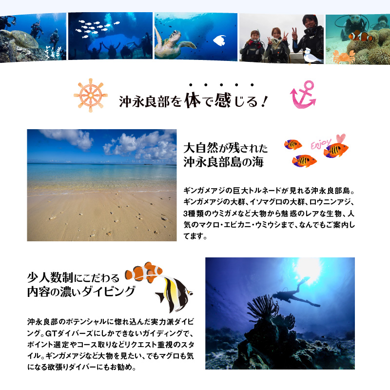 沖永良部島のファンダイビング　2ボートダイブ