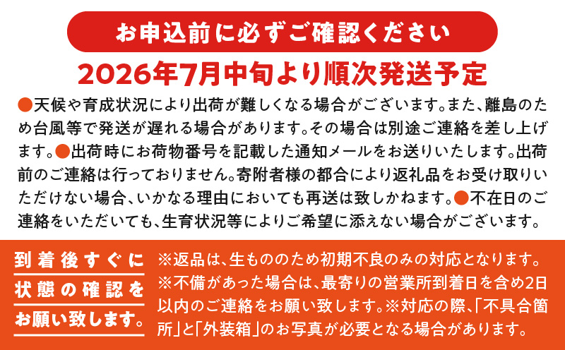 【2026年先行予約】伊村農園こだわり栽培！完熟アップルマンゴー1.5kg（3玉）　W026-003u