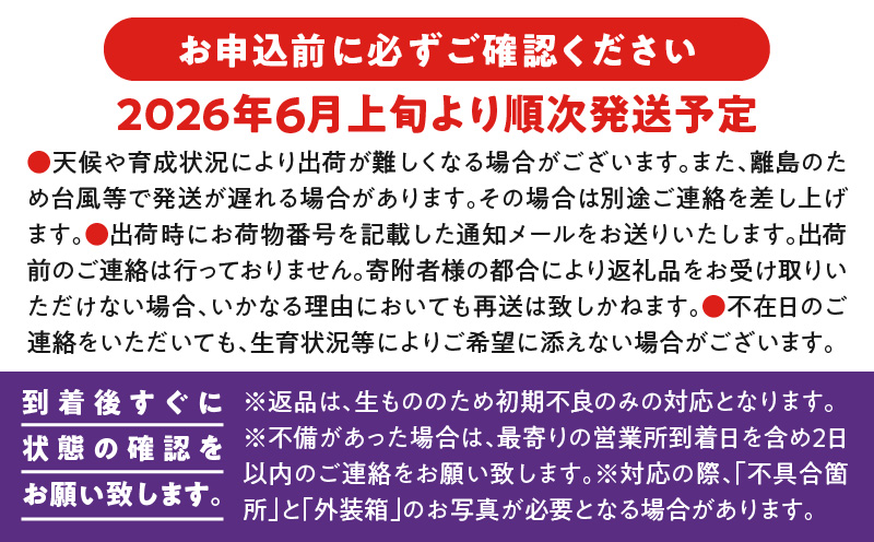 【2026年先行予約】【ご家庭用】山下農園のパッションフルーツ3kg【6月上旬～7月上旬発送】　W063-002