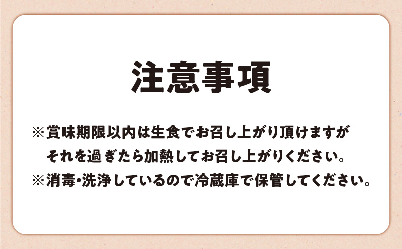 【贈答用】HARUYA FARMのモリンガ卵「島のちっちゅ」　W065-001-01