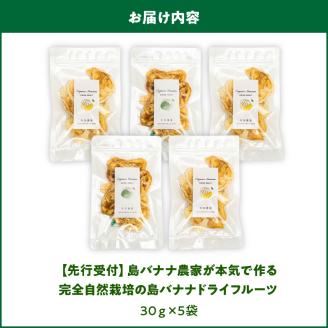 【W029-012u】【先行受付】島バナナ農家が本気で作る完全自然栽培の島バナナドライフルーツ30ｇ×５袋（７月中旬～10月中旬頃発送）