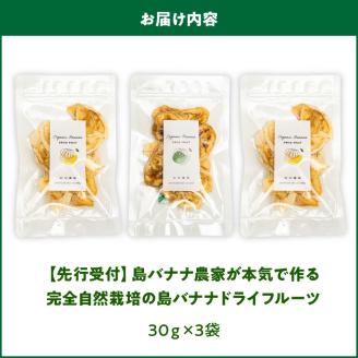 【W029-011u】【先行受付】島バナナ農家が本気で作る完全自然栽培の島バナナドライフルーツ30ｇ×３袋（７月中旬～10月中旬頃発送）