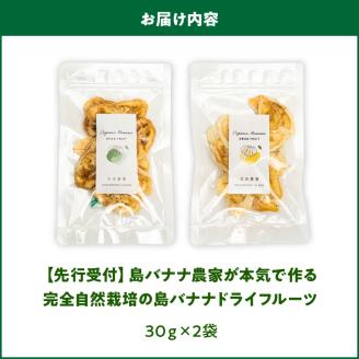 【W029-010u】【先行受付】島バナナ農家が本気で作る完全自然栽培の島バナナドライフルーツ30ｇ×2袋（７月中旬～10月中旬頃発送）