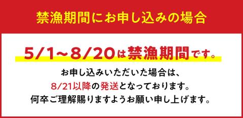 【漁師直送】活き〆冷凍　天然伊勢海老300ｇ（１尾）