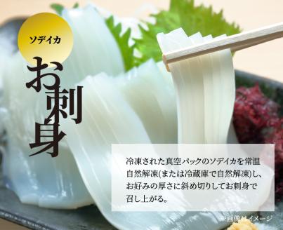 【メガ盛・冷凍セット(3)】 島かまぼこ15枚＆ソデイカ約1kg/サイズ不揃い　W009-059u
