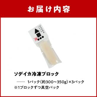冷凍保存ＯＫ！エメラルドブルーの美しい海で育ったおいしいソデイカ冷凍ブロック１キロ（３～４人前）！