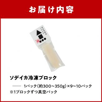 冷凍保存ＯＫ！エメラルドブルーの美しい海で育ったおいしいソデイカ冷凍ブロック３キロ（９～10人前）！