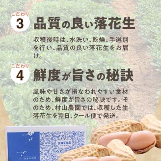 【先行予約】夏本番！珊瑚の島から贈り物！沖永良部島の赤土 生落花生３キロ！【7月中旬～9月上旬】